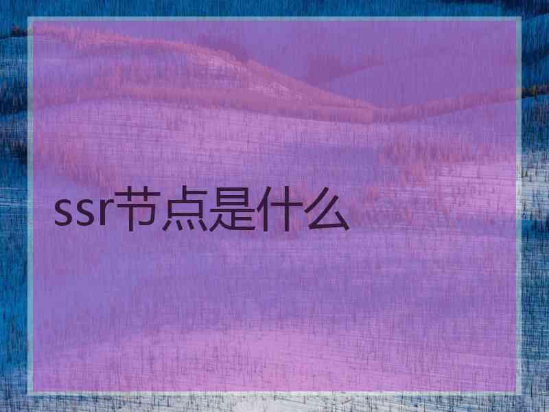 ssr节点是什么