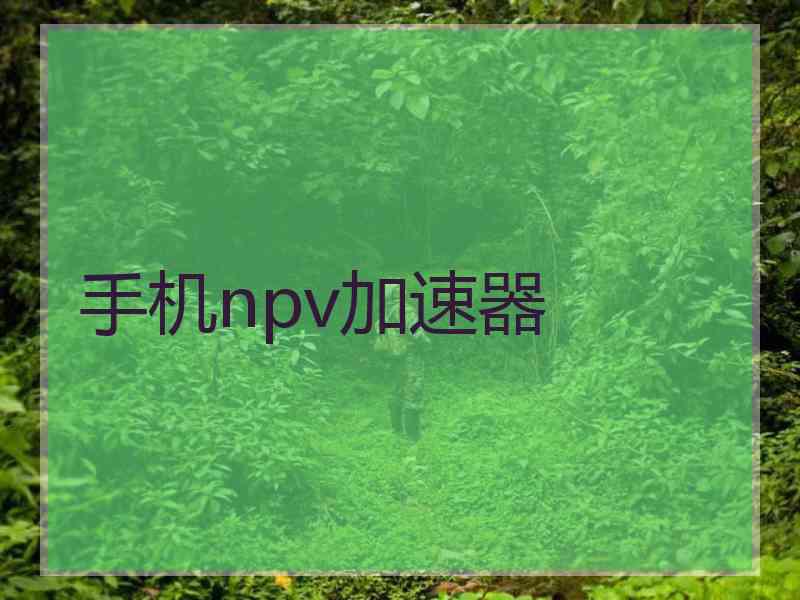 手机npv加速器