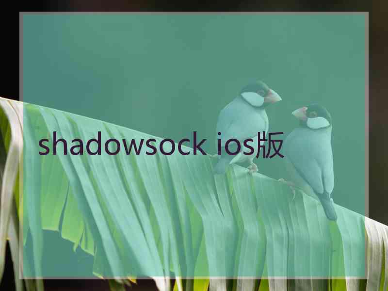 shadowsock ios版