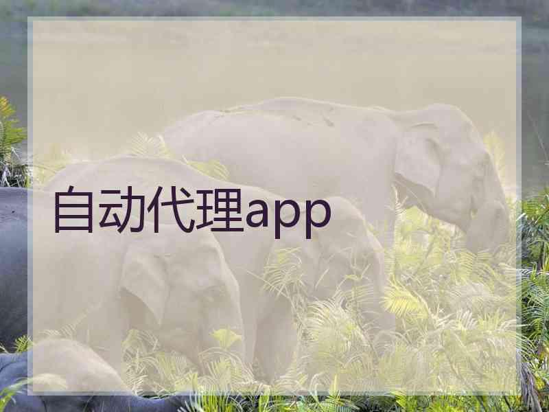 自动代理app