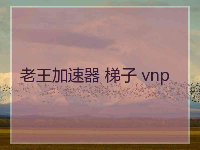 老王加速器 梯子 vnp