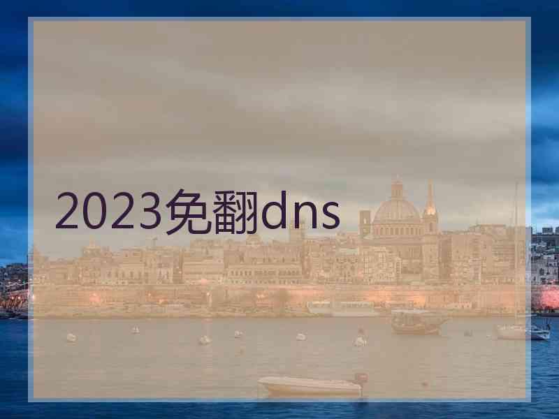 2023免翻dns