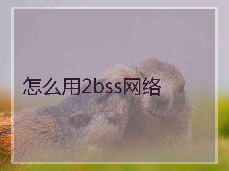 怎么用2bss网络