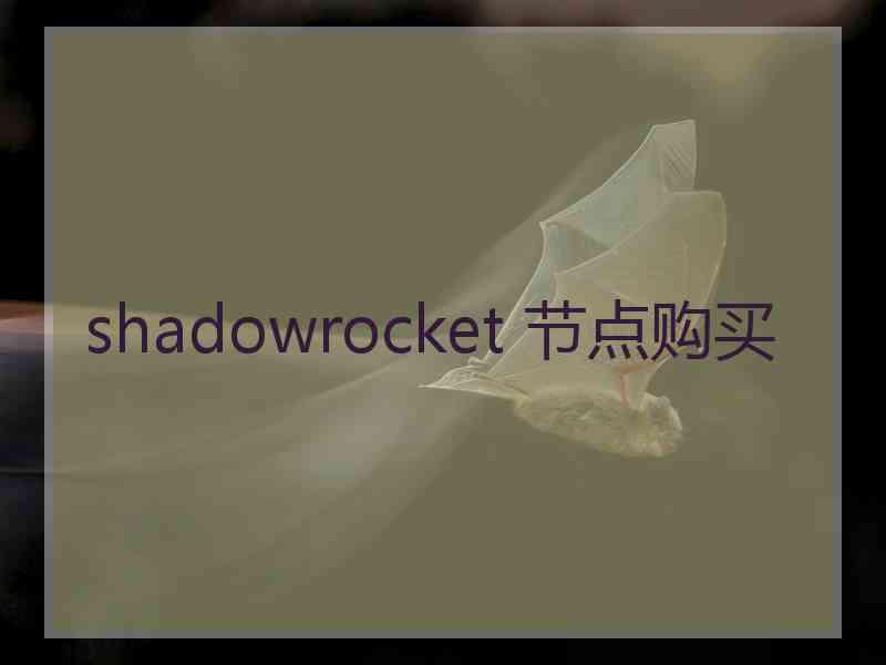 shadowrocket 节点购买