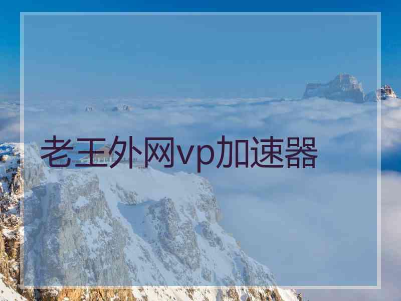 老王外网vp加速器