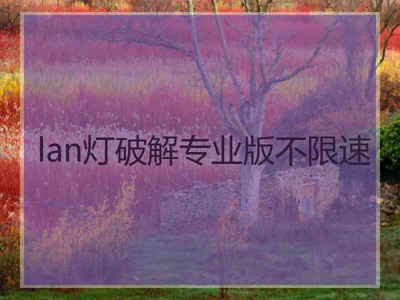 lan灯破解专业版不限速